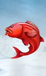 Ice Fishing
